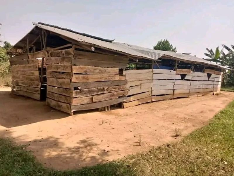 Image of the current church - Olians Pristine Foundation